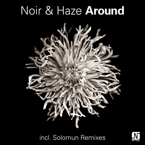 Artwork van Around (Solomun Vox Remix)