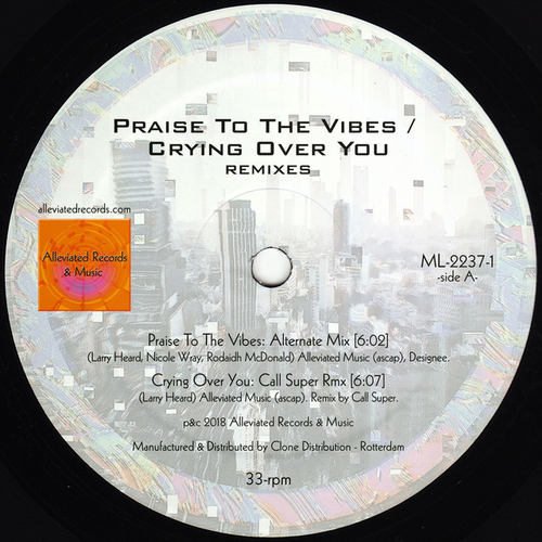 Artwork van Praise To The Vibes (Alternate Version)