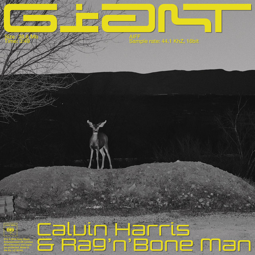 Artwork van Giant