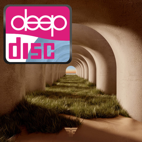 Artwork van Lights Up (Mousse T Boogie Shizzle Remix) (DeepDisc)