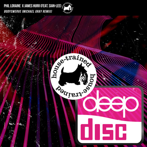 Artwork van Bodyswerve (Michael Gray Remix) (DeepDisc)